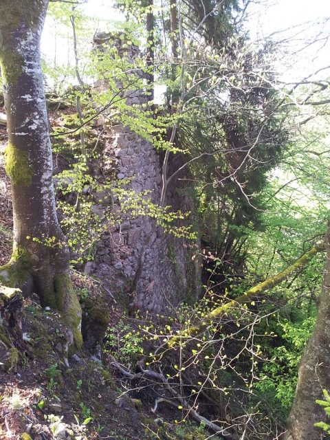 Gutenburg Castle (Ruin)