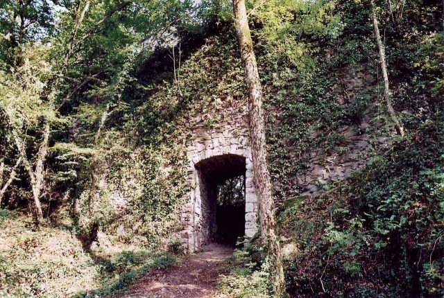 Hauenstein Castle (Ruin)