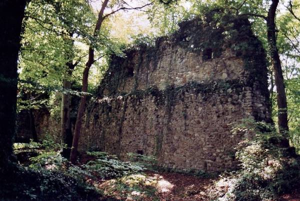 Weißwasserstelz Castle (Ruin)