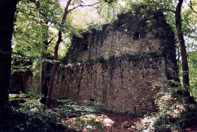 Weißwasserstelz Castle (Ruin)