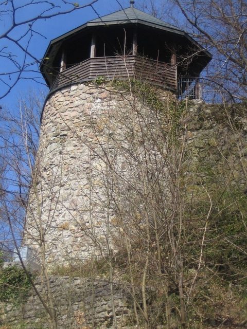Werrach Castle (Ruin)