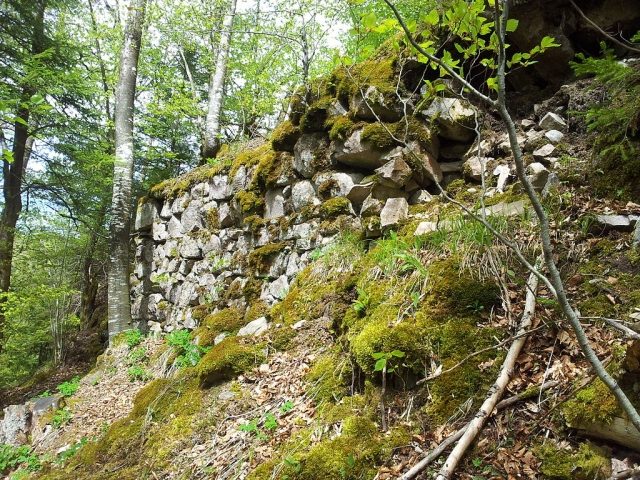 Tiefenstein Castle (Ruin)