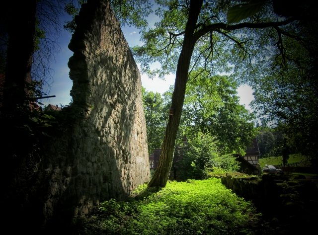 Ruine Wart