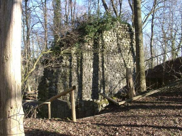 Burgruine Winterstetten