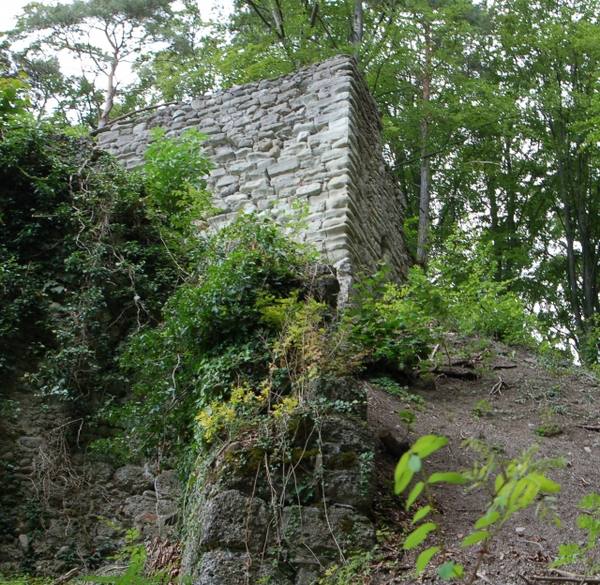 Burgruine Hohenfels