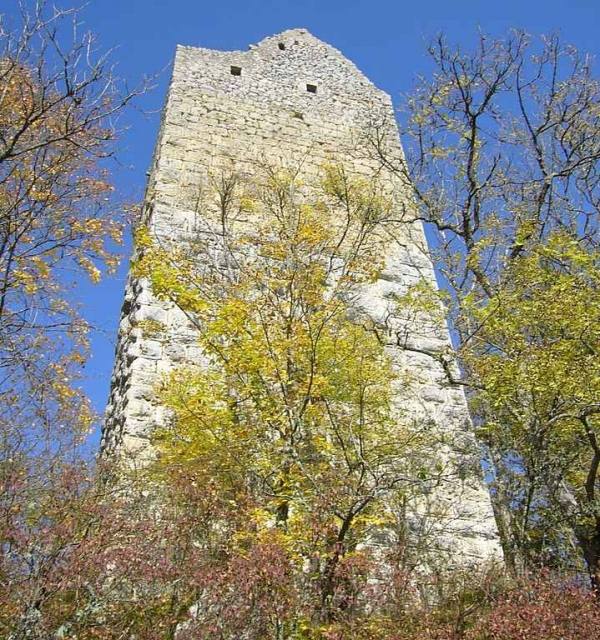 Kallenberg Castle (Ruin)