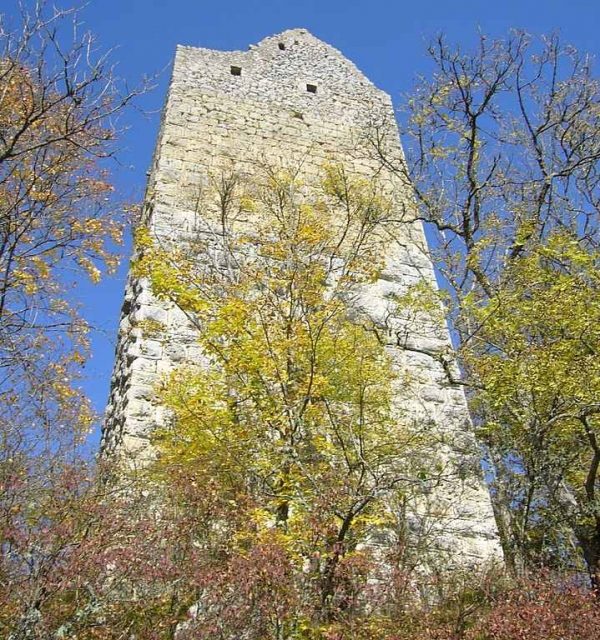 Kallenberg Castle (Ruin)