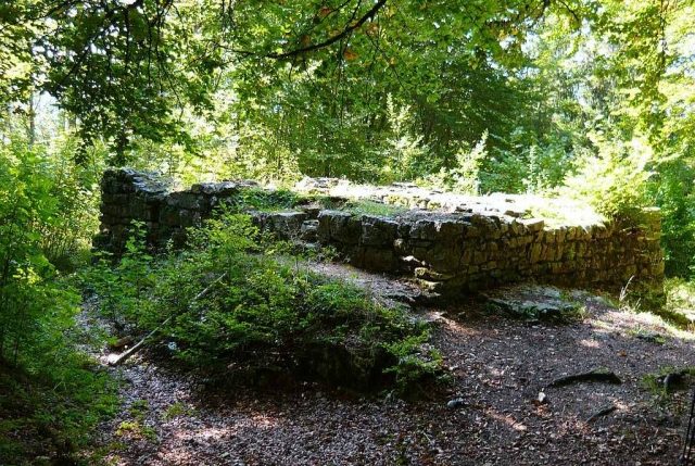 Luginsfeld Castle (Ruin)