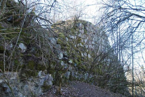 Alt-Wartenberg Castle