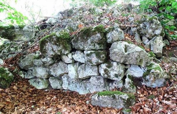 Ruine Schauenburg