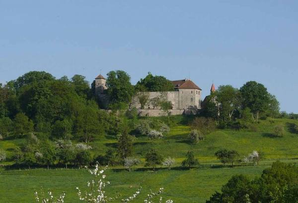 Tannenburg Castle