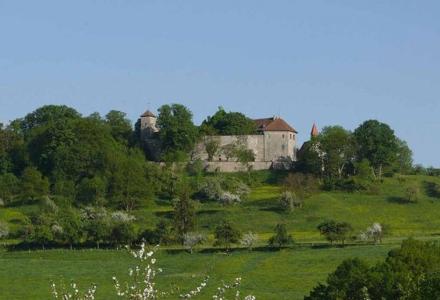 Tannenburg Castle