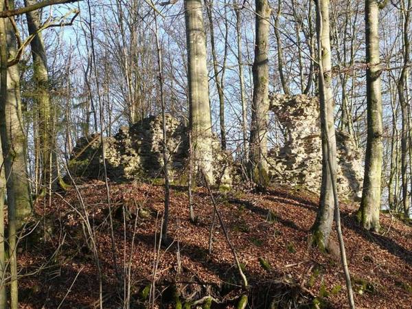 Burgruine Werdeck