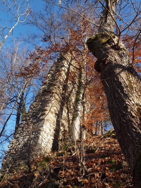 Hohenstein Castle (Ruin)
