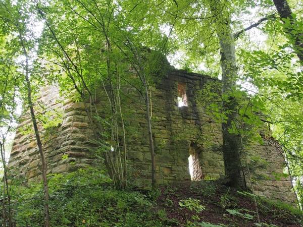 Lichtenfels Castle (Ruin)