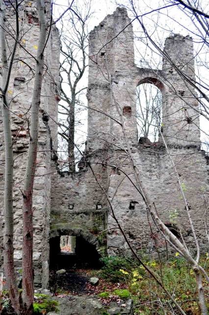 Neckarburg Castle (Ruin)