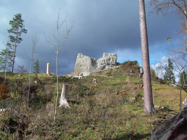 Schenkenberg Castle (Ruin)