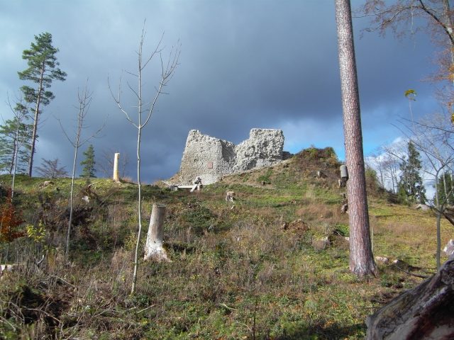 Schenkenberg Castle (Ruin)