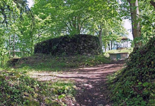 Schiltach Castle (Ruin)