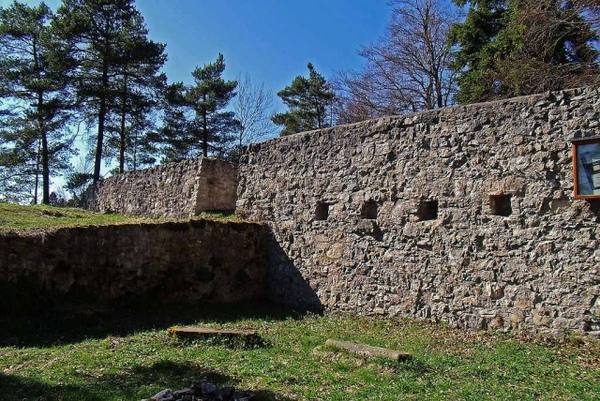 Ruine Waseneck