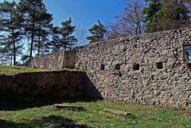 Ruine Waseneck