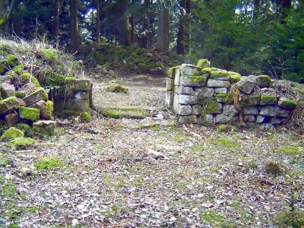 Ruine Willenburg