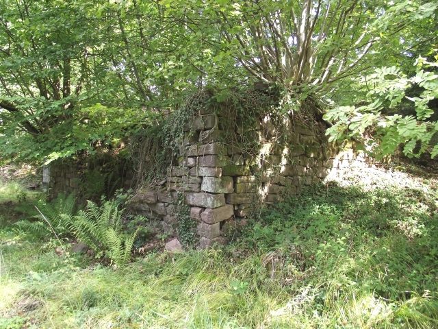 Emichsburg Castle (Ruin)