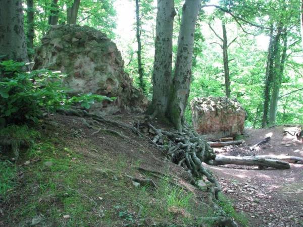 Hirschburg Castle (Ruin)