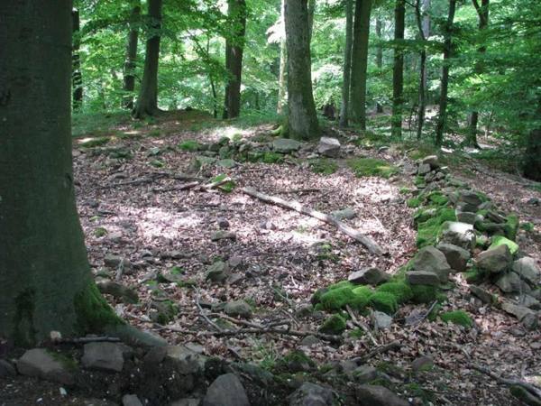 Kronenburg Castle (Ruin)
