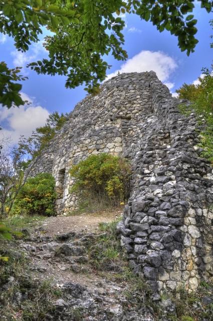 Alt-Ehrenfels Castle (Ruin)