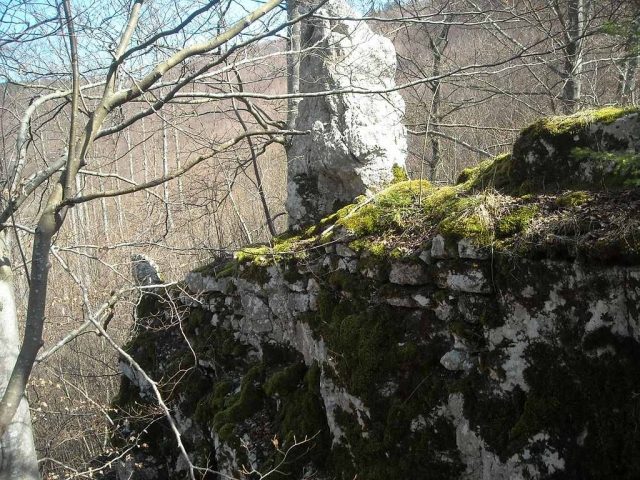 Baldeck Castle (Ruin)