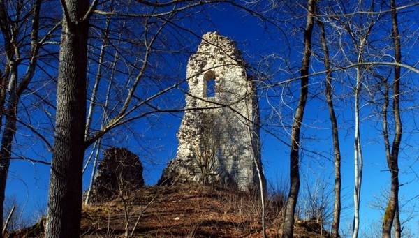 Hohenstein Castle (Ruin)
