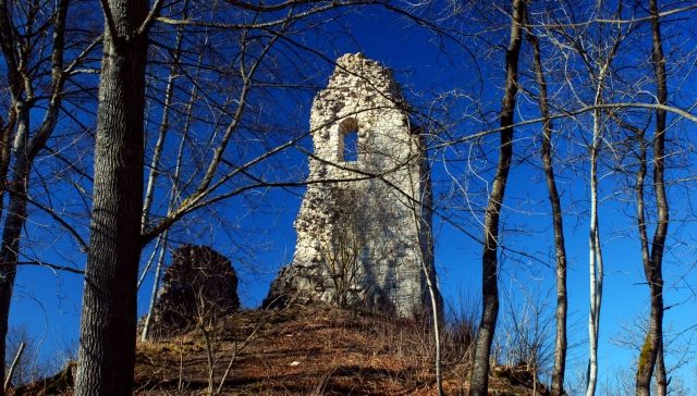Hohenstein Castle (Ruin)