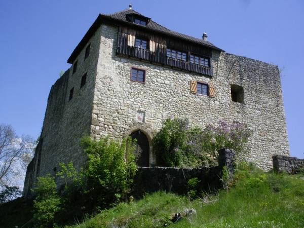 Niedergundelfingen Castle (Ruin)