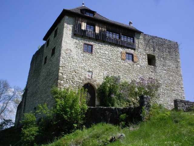 Niedergundelfingen Castle (Ruin)