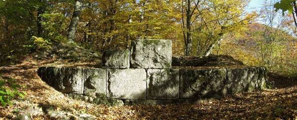 Granegg Castel (Ruin)