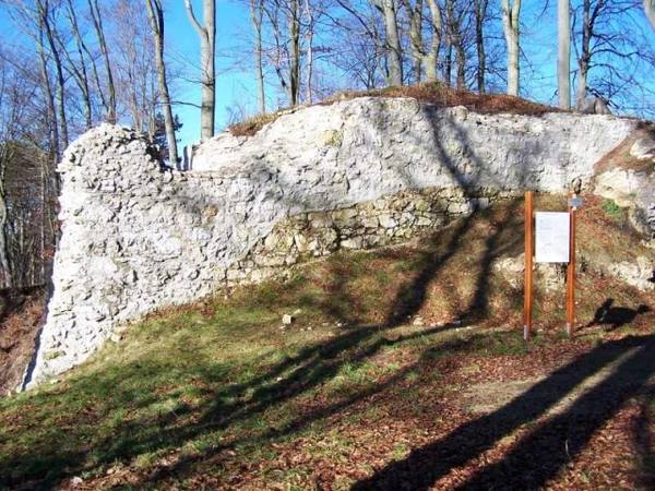 Kocherburg Castle (Ruin)