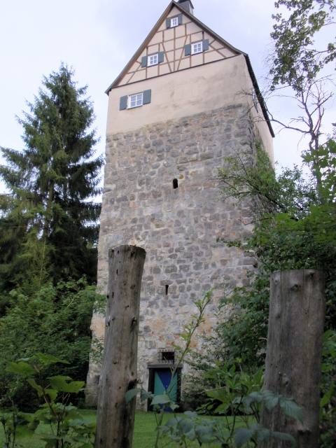Turmhügelburg Castle (Ruin)