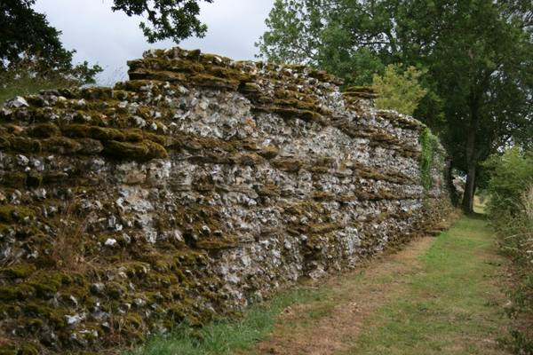 Roman City Calleva Atrebatum