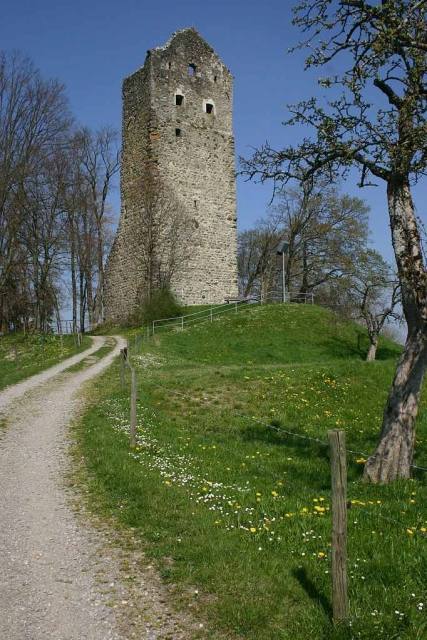 Neuravensburg Castle (Ruin)