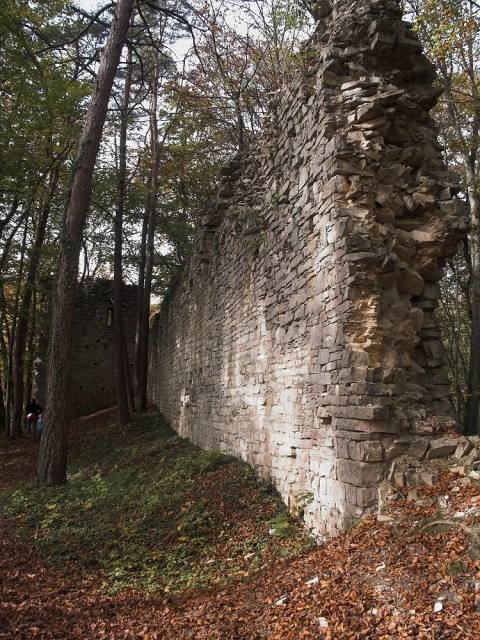 Burgruine Tudoburg