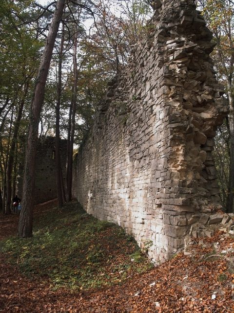 Burgruine Tudoburg
