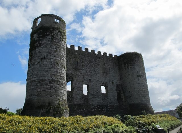 Carlow Castle