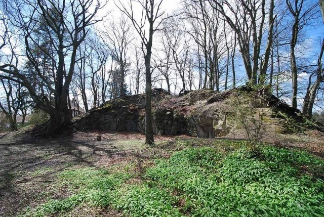 Burgruine Rosenegg