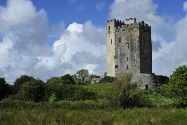 Ballyportry Castle