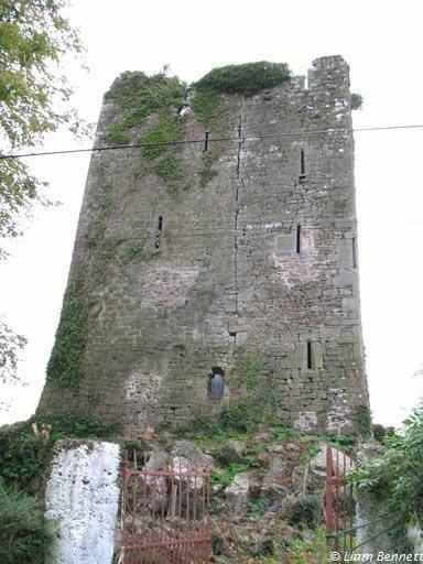 Coolisteague Castle