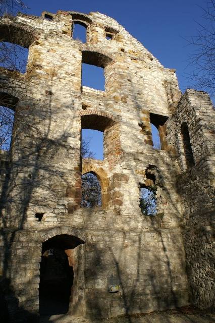 Burgruine Scharfenberg