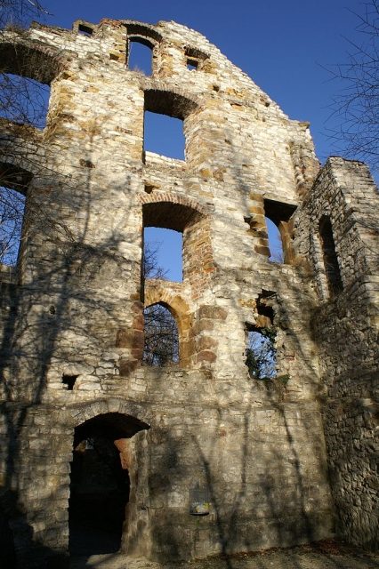 Burgruine Scharfenberg