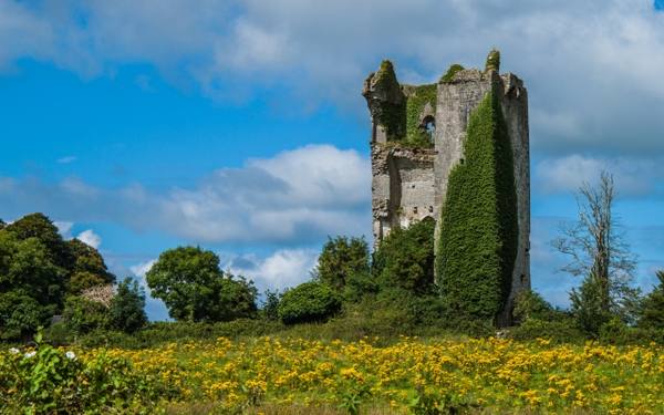 Kilkishen Castle