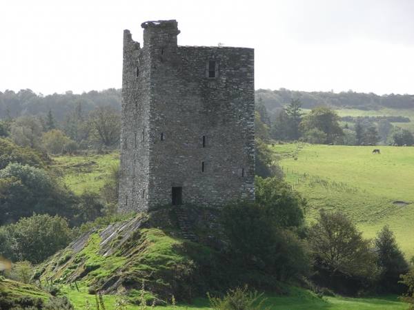 Carrigaphooca Castle